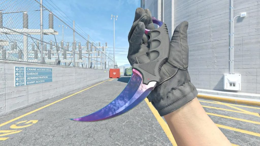 CS2 Karambit